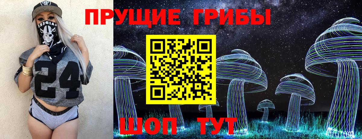Галлюциногенные грибы GOLDEN TEACHER  Галлюциногенные грибы прущие грибы  закладка  Вход с VPN  Дальнегорск 